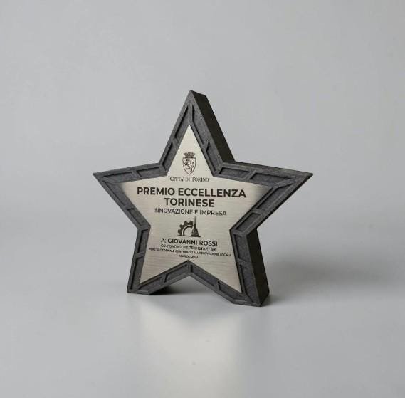 trofeo in stampa 3d a forma di stella con abs acciaio Personalizzato - Design Unico, Regalo Aziendale Moderno Trofeo "Stella dell'Eccellenza