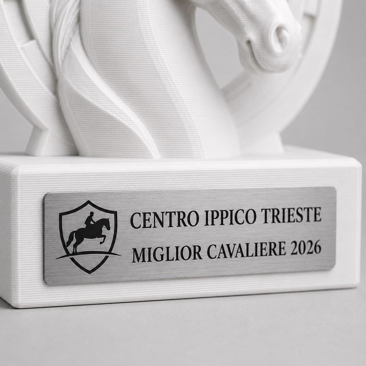 Trofeo equitazione personalizzato in stampa 3D, premio cavallo, equestrian trophy, award ippica, targa ABS effetto acciaio, trofeo pla